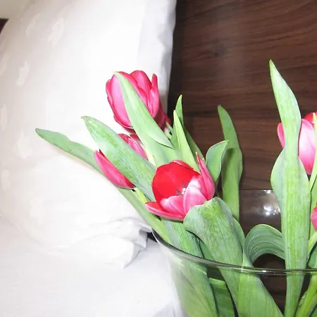 招待所 卢克索旅馆 3*